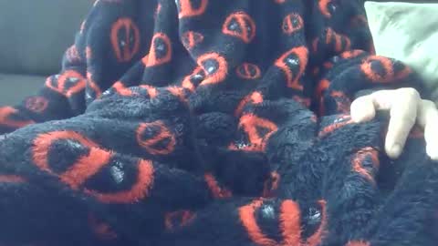 Youraccord online show from 04/02/26, 09:29