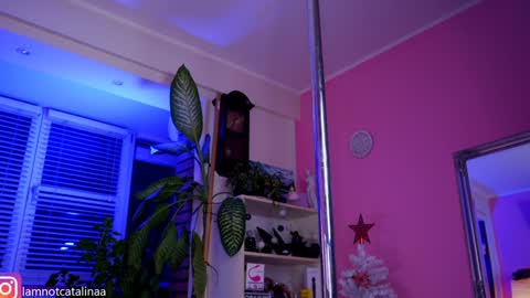 YourBabyPearl online show from 01/07/25, 05:09