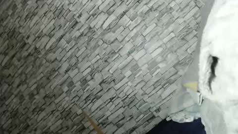 angel online show from 02/23/26, 02:14