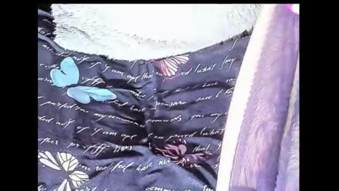 Snapshot of yukiodavis chatting on 10/10/25, 01:48 Yukio Davis online show from 10/10/25, 01:48