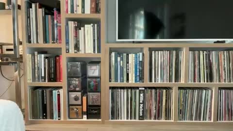 yumiandwolf online show from 03/05/25, 11:16