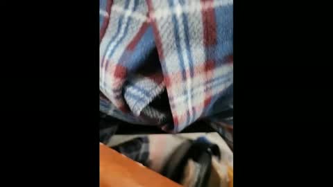 yuppers1234 online show from 02/05/25, 06:37