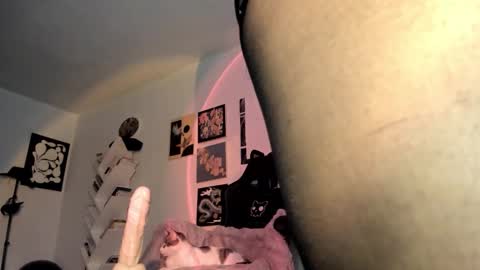 paola online show from 01/15/26, 09:18