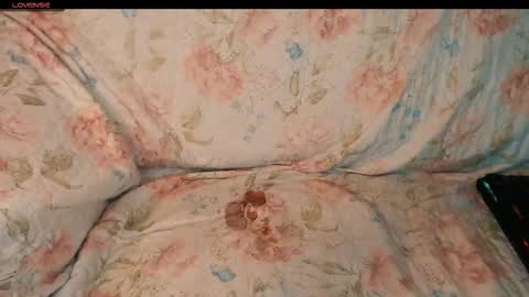 yzza_suave online show from 03/23/26, 10:03