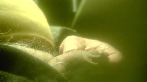 zaboski4 online show from 02/26/26, 08:24