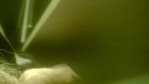 zaboski4 online show from 03/07/26, 08:33