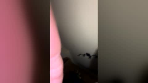 Snapshot of zachmurphbigboy chatting on 03/01/26, 03:41 zachmurphbigboy online show from 03/01/26, 03:41