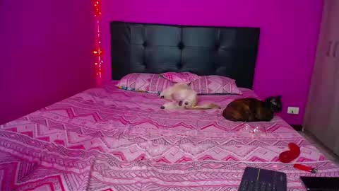 ZARA ANYELINA online show from 12/14/24, 12:33