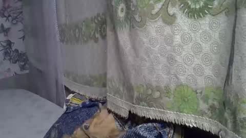 Snapshot of zarinamarlin chatting on 05/05/26, 06:21 zarinamarlin online show from 05/05/26, 06:21