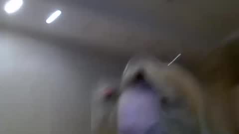 Zarina Swift online show from 02/14/25, 04:47