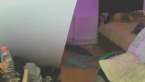 Zed online show from 12/19/24, 05:18