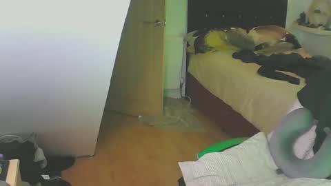 Zed online show from 12/28/24, 04:09