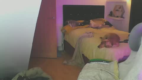 Zed online show from 01/19/25, 06:10