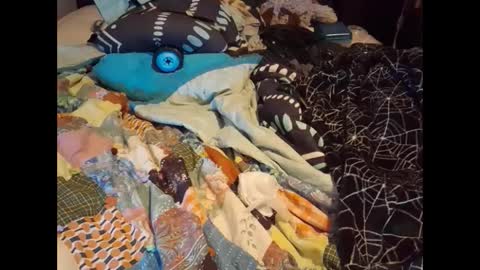 zero online show from 09/16/25, 06:53