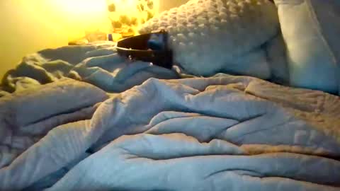 9.3 inch online show from 12/17/25, 12:49