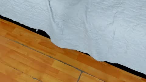 zia online show from 01/27/25, 10:49