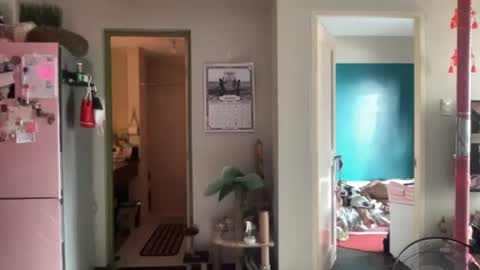 Ziggy ziggy-   online show from 07/08/26, 12:15
