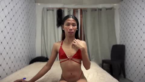 Zinnia nics online show from 11/08/25, 06:57