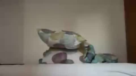 Snapshot of zkopa1234 chatting on 06/18/26, 01:48 zkopa1234 online show from 06/18/26, 01:48