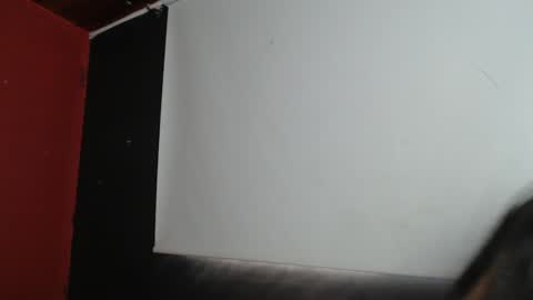 Snapshot of zoegp chatting on 01/16/25, 02:30 Laura online show from 01/16/25, 02:30