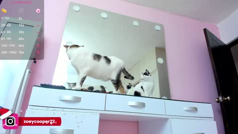 Snapshot of zoey_cooper chatting on 12/30/24, 08:15 zoey  Independent model online show from 12/30/24, 08:15