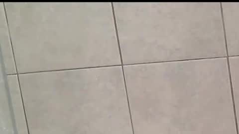 Zoey Portland online show from 10/28/25, 09:24