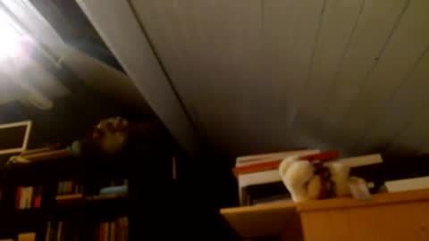 zolexthomas online show from 01/15/25, 04:43