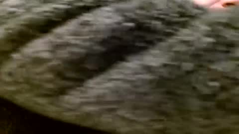 zolexthomas online show from 01/28/25, 05:35