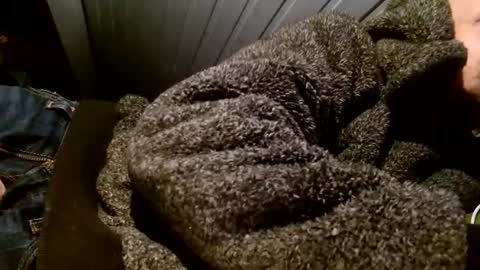 zolexthomas online show from 02/01/25, 07:55