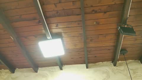 zoley  online show from 10/06/25, 03:04