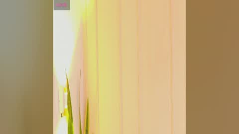 Snapshot of zuzu_sweet chatting on 07/25/26, 07:22 Zara online show from 07/25/26, 07:22