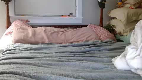 zymase online show from 12/07/24, 02:09