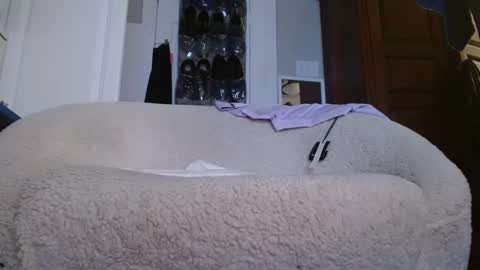 zymase online show from 01/04/25, 11:27