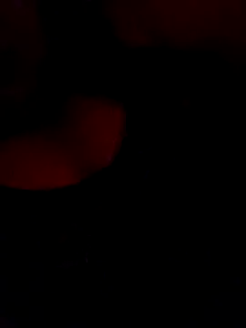 FerLu8 online show from 02/26/26, 04:00