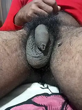 Nishu12356g online show from 01/13/25, 07:53