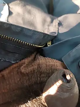 Nishu12356g online show from 09/20/25, 02:40