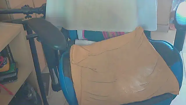 angelgarcia269 online show from 12/29/24, 03:35