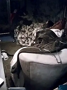 Snapshot of JaxxxRiott chatting on 03/03/25, 12:37 JaxxxRiott online show from 03/03/25, 12:37