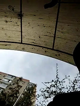 Snapshot of J0nyhson chatting on 03/23/25, 07:31 J0nyhson online show from 03/23/25, 07:31