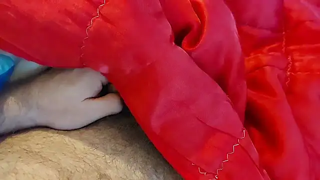 Snapshot of Ettarak chatting on 02/08/26, 12:14 Ettarak online show from 02/08/26, 12:14