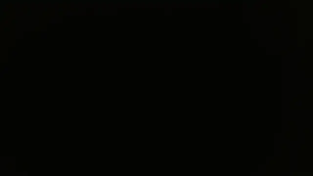 miley jensen online show from 12/19/24, 08:02