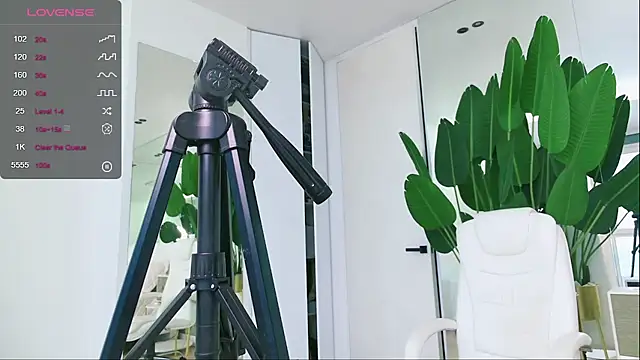 Snapshot of wowEva chatting on 01/31/25, 11:56 wowEva online show from 01/31/25, 11:56