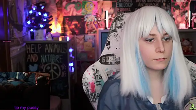 ShiroiFubuki online show from 01/25/25, 02:36