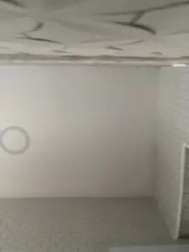 Lia flowers online show from 02/09/25, 10:43