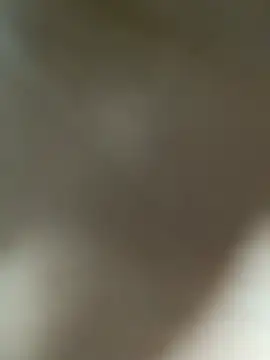 Lia flowers online show from 03/01/25, 01:11