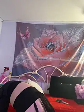 DominiqueX0 online show from 02/20/26, 09:04