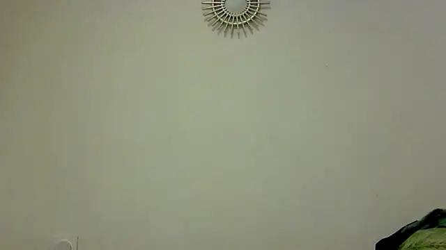 feline27 online show from 10/24/25, 08:49