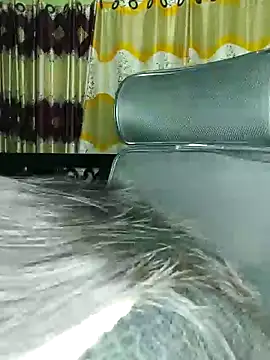 Snapshot of Sima--Roy chatting on 12/30/24, 06:05 Sima--Roy online show from 12/30/24, 06:05