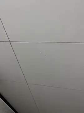 Tintola online show from 02/23/26, 12:30