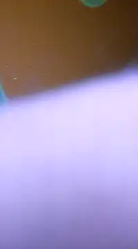 ducicsajsziii online show from 01/28/25, 05:54